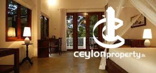 Villa & Bungalow for Holiday in Galle - Ceylon Olive