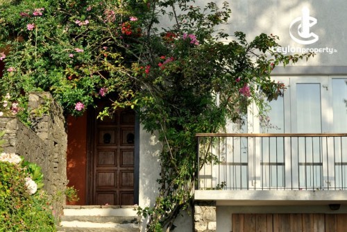 Villa & Bungalow for Holiday in Haputale - Clouds Holiday Bungalow Haputhale