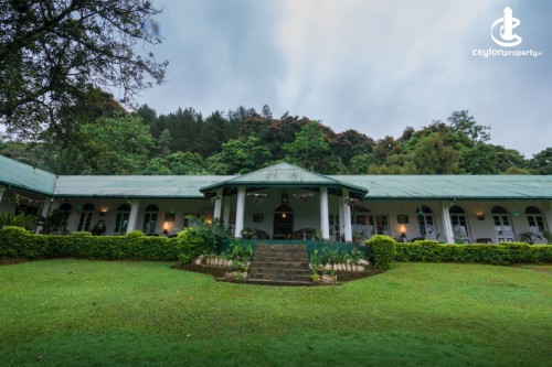 Villa & Bungalow for Holiday in Gammaduwa - Kudaoya Bungalow
