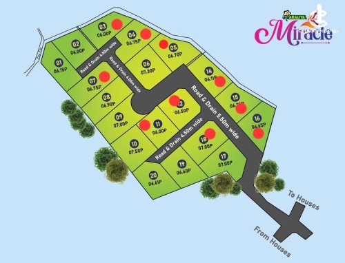 Land for Sale in Homagama - Paddy view land for sale in Homagama