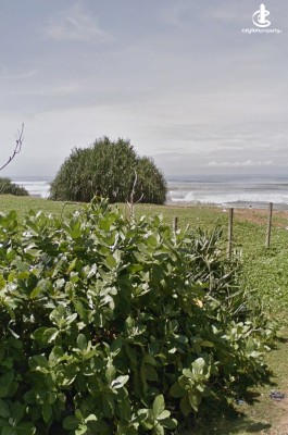 Land for Sale in Wadduwa - Beach Front Land For Sale at Wadduwa