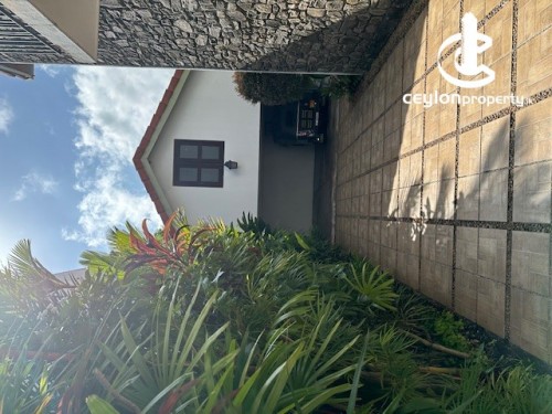 House for Rent in Colombo 7 (Cinnamon Garden) - House for Lease in Colombo 07