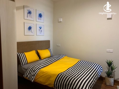 Apartment for Rent in Colombo 7 (Cinnamon Garden) - Colombo 7 New Fully Furnished 2 Bedroom Apartment For Rent