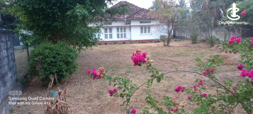 House for Sale in Wattala - Wattala on Hendala Rd 4500 SqFt House on 51 Perches For Sale