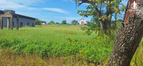 Land for Sale in Seeduwa - Seeduwa Bare Land Of 421 Perches For Sale Rs 850,000 a Perch
