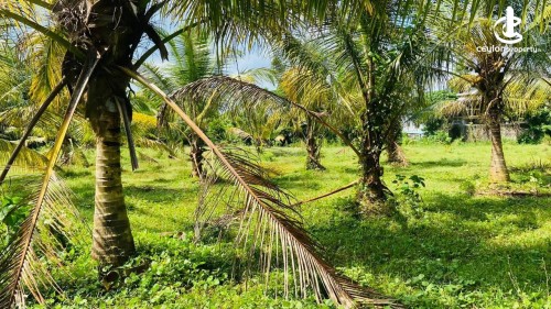 Land for Sale in Kaduwela - Kaduwela Ranala 420 Perch Com: Land Near CBL Factory 4 Sale