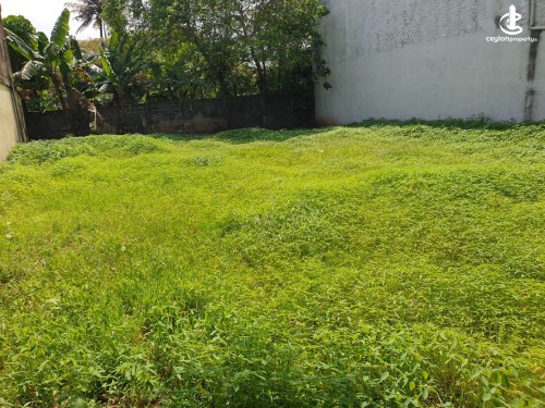 Land for Sale in Colombo 5 (Narahenpita,Havelock Town,Kirulapona North) - Colombo 5 Narahenpita 15 Perches Block Bare Land F…