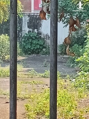 Land for Sale in Colombo 3 (Colpety,Kollupitiya) - Colombo 3 Colpetty 28 Perch Bare Land Near Liberty For Sale