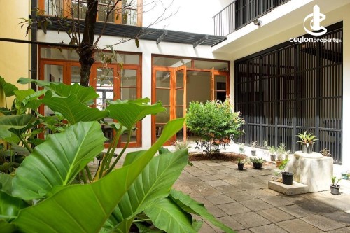 House for Rent in Colombo 5 (Narahenpita,Havelock Town,Kirulapona North) - Colombo 5 Luxury 3000 SqFr 4 Bedroom Furnished Ho…