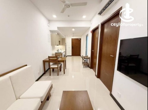 Apartment for Rent in Colombo 2 (Slave Island) - Colombo 2 Trizen Brand New 1 Bedroom Apartment For Rent