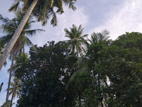 Land for Sale in Badalgama - Badalgama 322 (2 Acres) Land withx3 Bedroom House For Sale