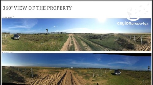Land for Sale in Kalpitiya - Kalpitiya 30 Acres Beach Front Flat Land For Sale