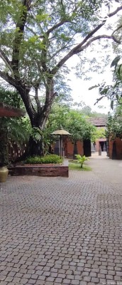 Land for Sale in Kurunegala - Kurunegala 112 Acres Coconut Estate + Luxury House For Sale