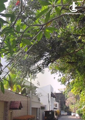 Land for Sale in Colombo 7 (Cinnamon Garden) - Colombo 7 Barnes Place House On 30.8 Perches For Sale