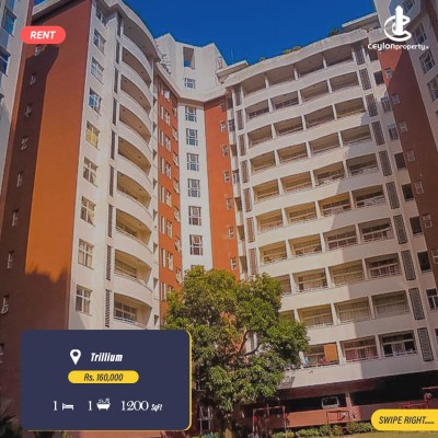 Apartment for Rent in Colombo 8 (Borella) - Studio Apartment for Rent in Trillium