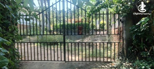 House for Rent in Balangoda - House for rent in Balangoda