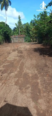 Land for Sale in Piliyandala - 30 Perches Land For Sale In Piliyandala