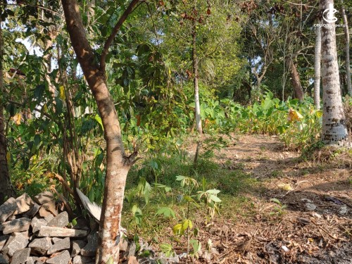 Land for Sale in Nittambuwa - Prime 25 Perch Square Land for Sale – Near Kandy-Colombo Road