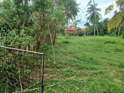 Land for Sale in Kochchikade - Valuable Land For Sale In Kochchikade, Reedi Weli Road