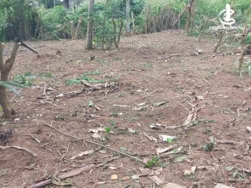 Land for Sale in Piliyandala - 11 Perches Valuable Land For Sale in Piliyandala
