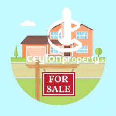 House for Sale in Colombo 5 (Narahenpita,Havelock Town,Kirulapona North) - Valuable House For Sale In Narahenpita, Dabare Ma…
