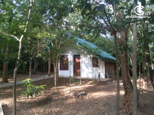 Commercial Property for Rent in Habarana - Guest House For Lease in Habarana