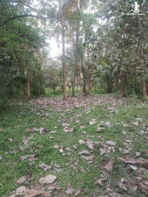 Land for Sale in Mawathagama - Land For Sale In Mawathagama, Kurunegala