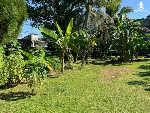 Land for Sale in Maharagama - 32.3 Perch Land for sale in Maharagama