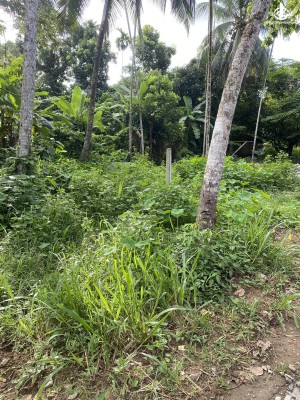 Land for Sale in Dompe - Land for Sale in Dompe