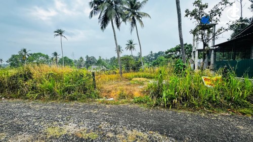 Land for Sale in Kalagedihena - Valuable land for sale.