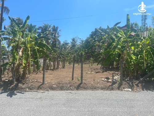 Land for Sale in Bandaragama - Land for Sale in Bandaragama.