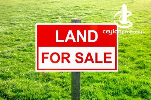Land for Sale in Sri Jayawardenepura Kotte - A valuable land situated in a highly residential area in Sri Jayawardenepura Ko…
