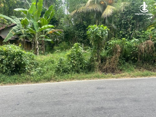 Land for Sale in Homagama - Land for Sale in Homagama.