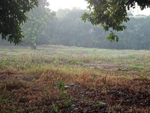 Land for Sale in Kaduwela - Land for Sale in Kaduwela.