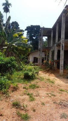 Land for Sale in Matara - Two houses with land are available for sale in Matara.