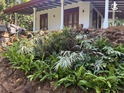 Land for Sale in Panadura - Land with House for Sale in Panadura.